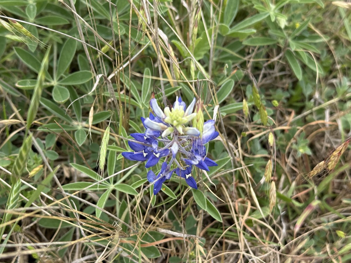 Boob Obsession tweet media