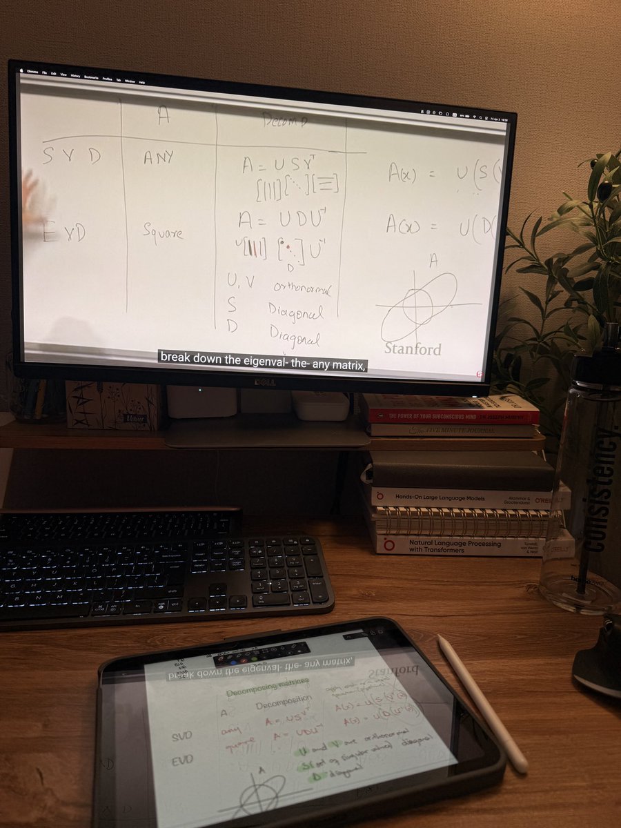 Brain is fuming, so many math equations. But today I’m learning about one of my favourite topics: Tensor decomposition! 😁

I did my bachelor’s thesis on this, titled ‘Low rank compression of CNNs using tensor decomposition methods’