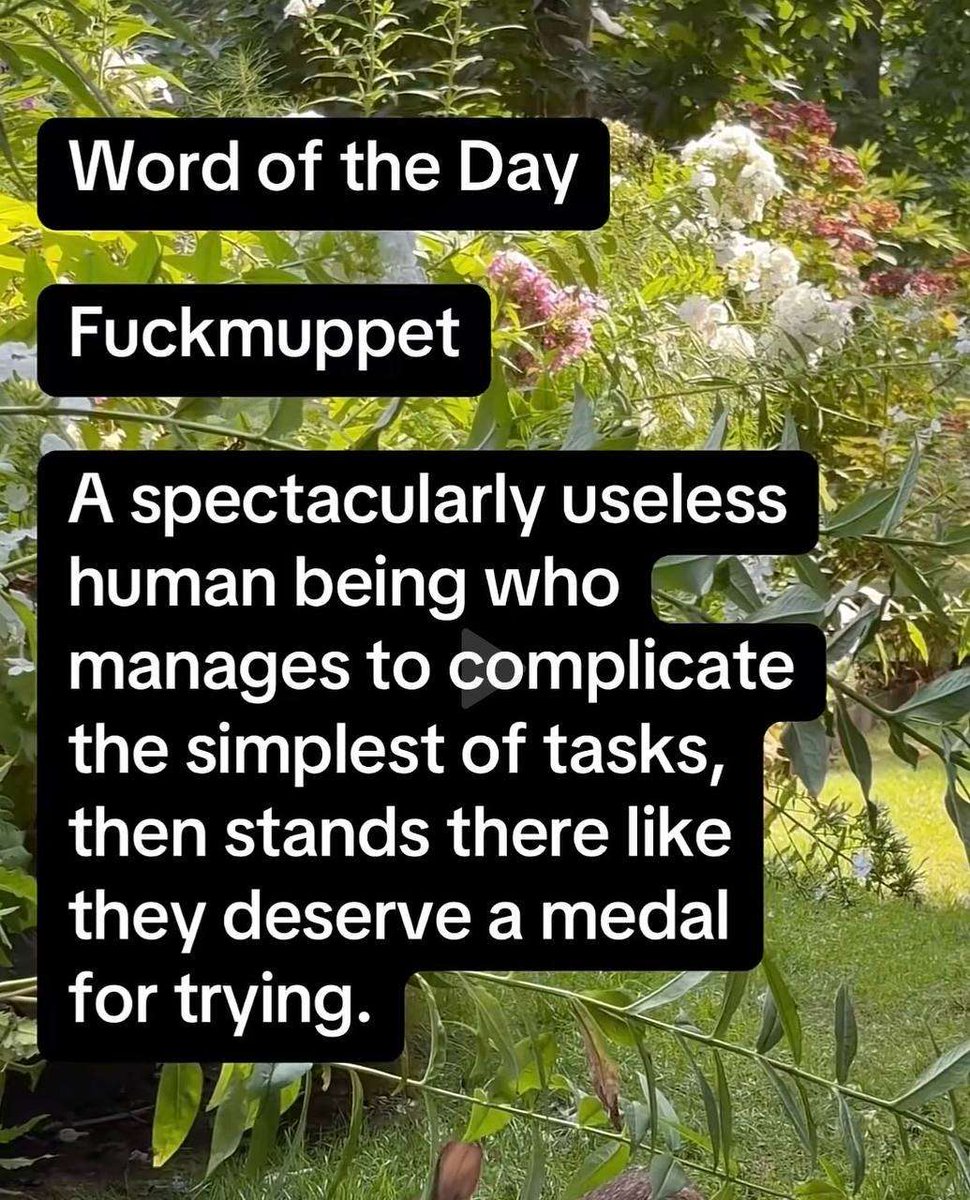 YFI 𝕏 tweet media