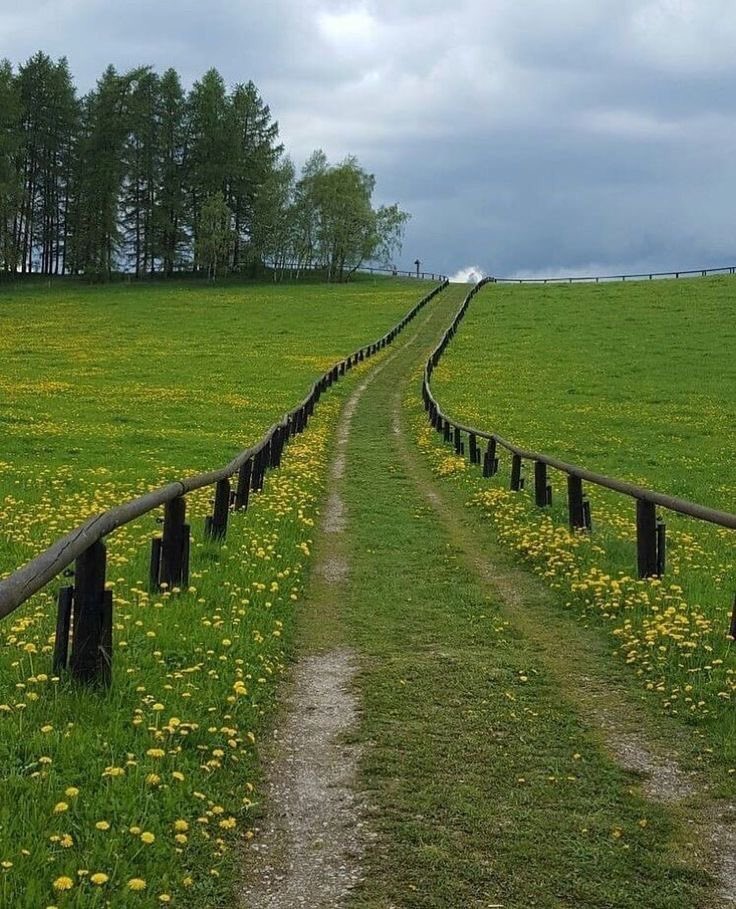 ayaserenat's tweet photo. "Allah size bir yol açarsa, o yolu kimse kapatamaz." https://t.co/sqwKjOfnsd