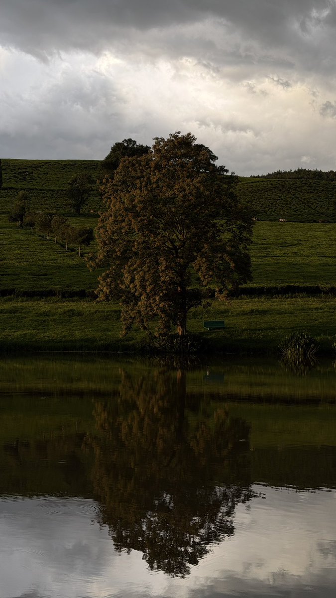 Alex Kamau tweet media