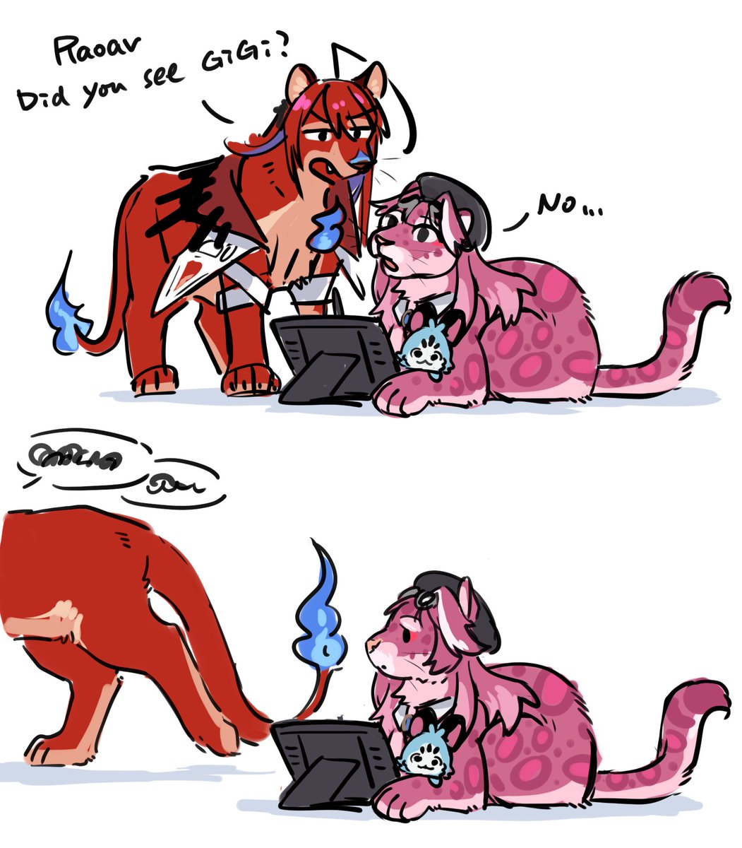 野君🦡 tweet media