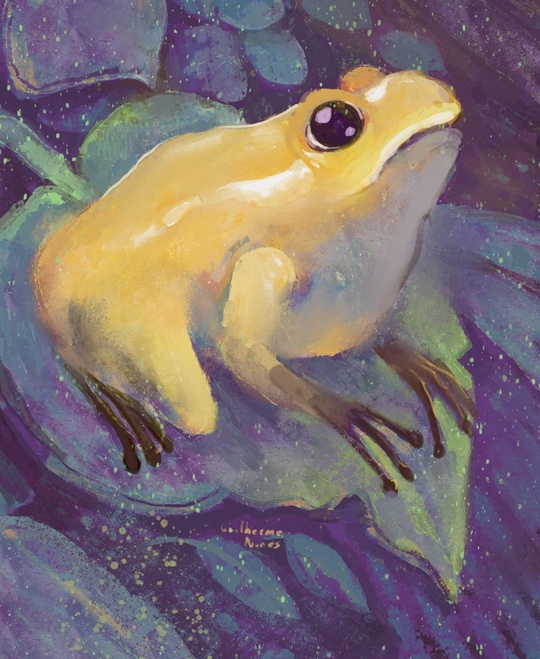 Guilherme Nunes tweet media