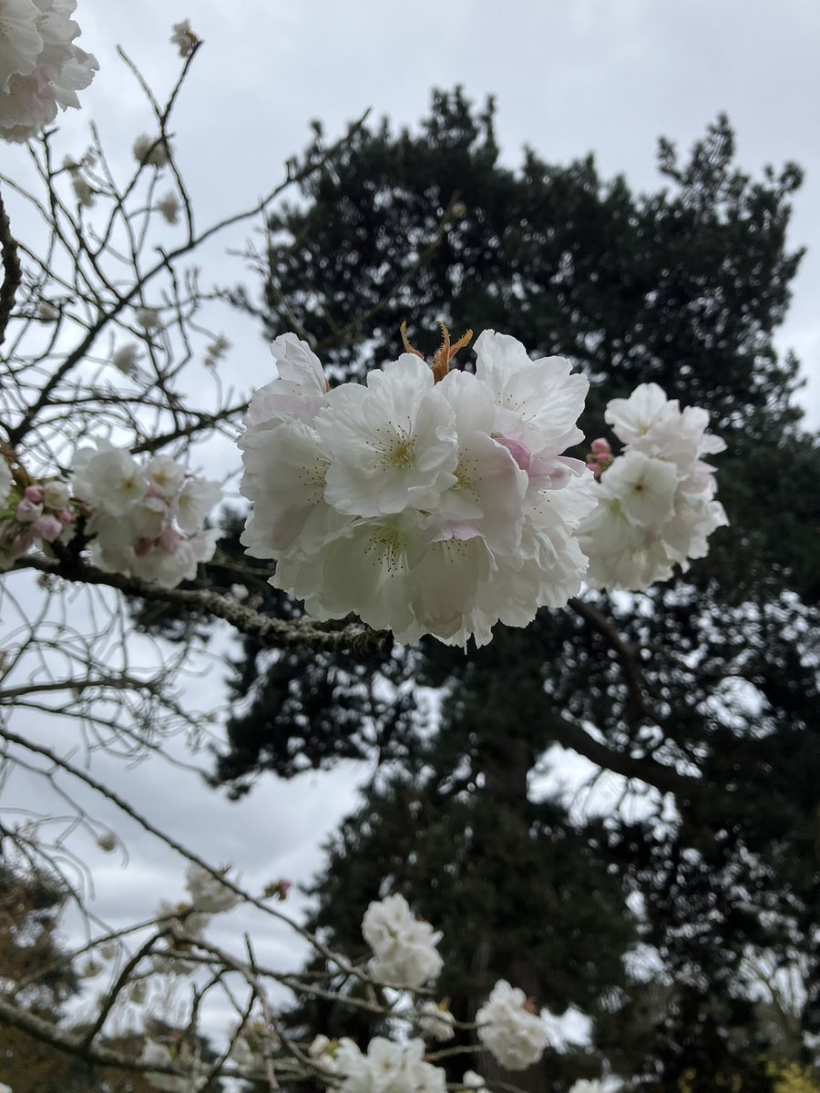 Vivienne 🏴‍☠️🪴 tweet media