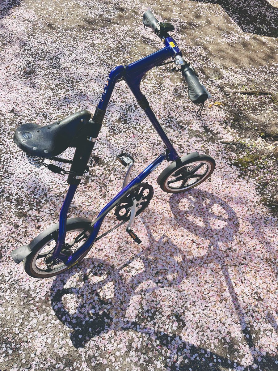 D302K's tweet photo. 早くも足り始めている…
#strida #川越 #喜多院  #iPhone14pro  #散り桜 https://t.co/bn5RDarOAw