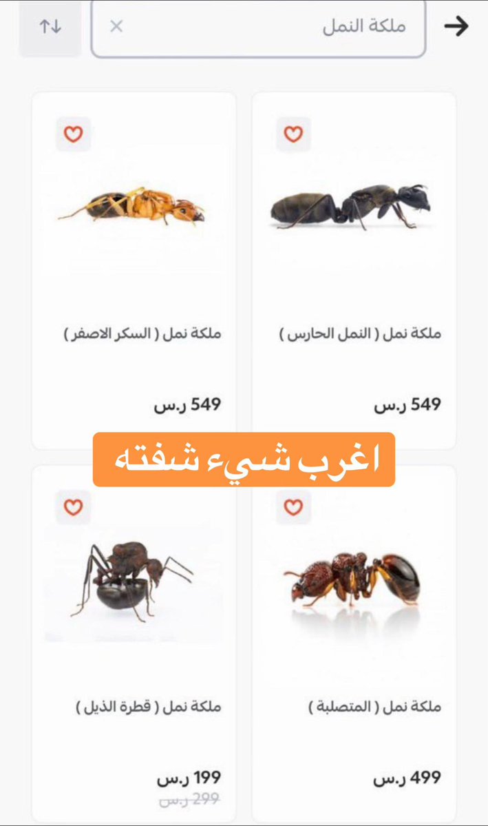 مرام 🇸🇦 كود خصم نايس ون VR735 tweet media