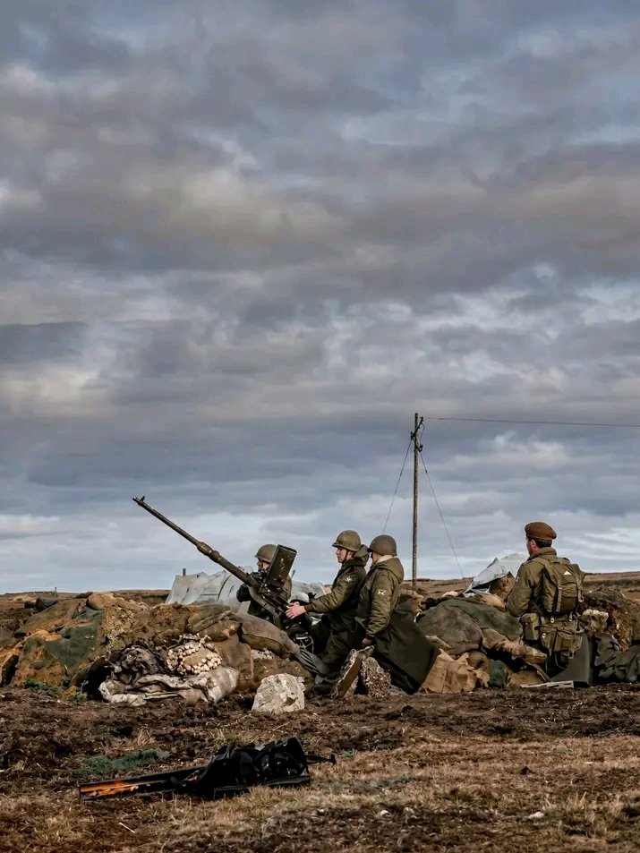 ariel mario castro tweet media