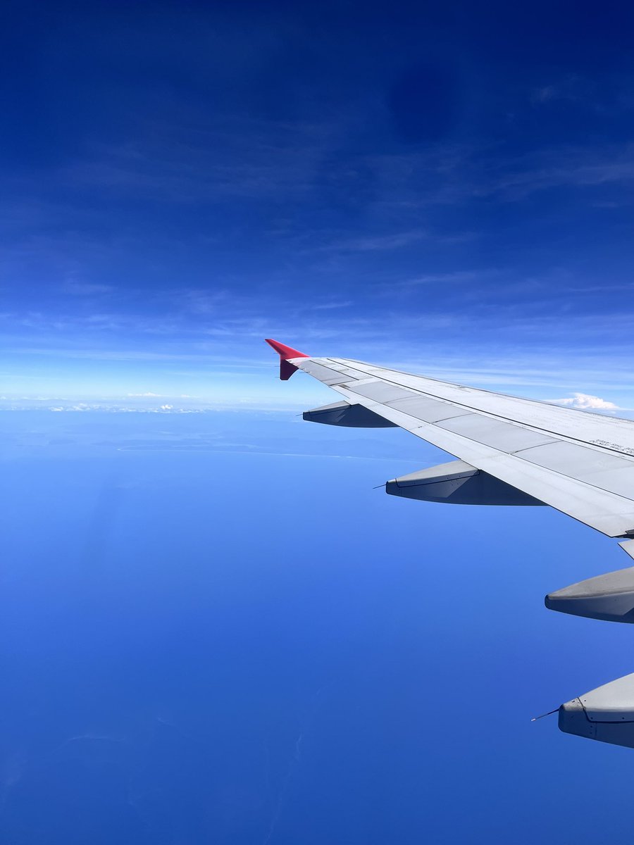 𝓜imi ✧ Bruxa & Taróloga tweet media