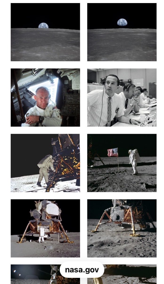 Signe Sol tweet media