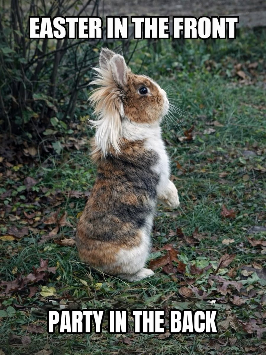 pedigree sweater puppies tweet media