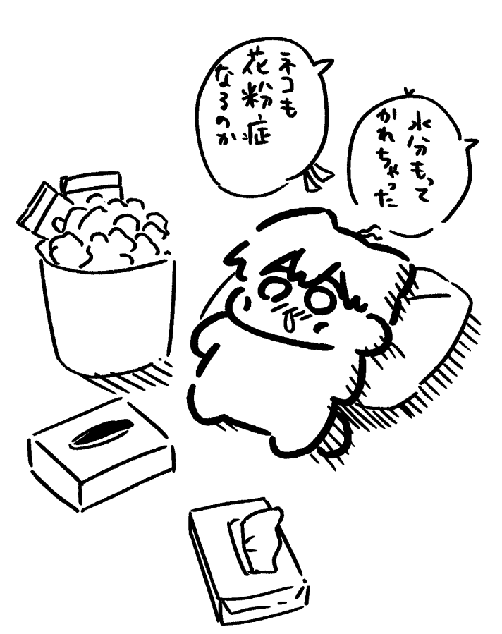 𝕘𝕘𝕘（ぐぐぐ） tweet media