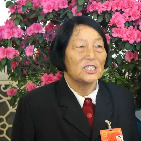 tedy2019 tweet media