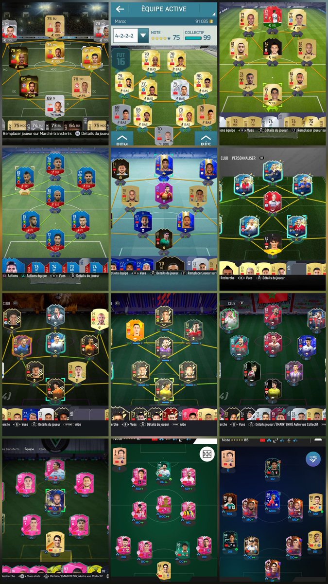 Oignons de l'Atlas tweet media