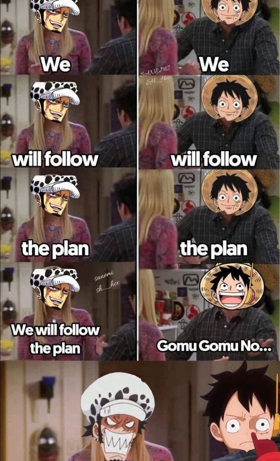 One Piece Daily tweet media