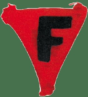 @oursdeparis 🐻💕 🐱💕🐈‍⬛🌪️ 🐢 ✊ tweet media