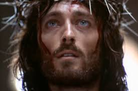 ΛПDΣЯƧ-ZӨЯП🚔🦁🏛️🐢🦬🖌️🌫️🇳🇬🇨🇴 tweet media