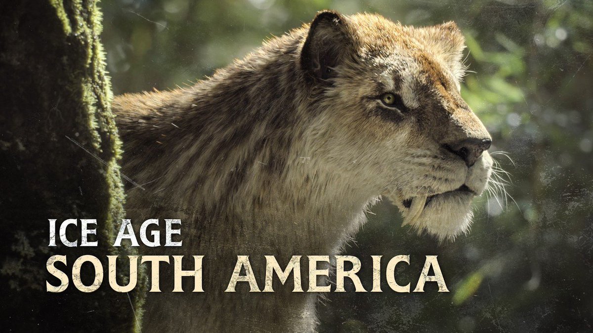 PrehistoricDom's tweet image. What a day! Check out these incredible new videos from 𝑷𝒂𝒍𝒆𝒐 𝑬𝒅𝒊𝒕 and 𝑩𝒊𝒍𝒍 𝑵𝒈𝒖𝒚𝒆𝒏, now added to the website!
➡️prehistoricdomain.com
#paleoart #dinosaurs @billnguyen1411