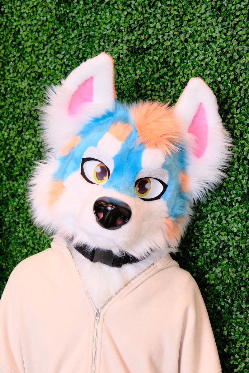 DezzyPuppy🏖️ tweet media