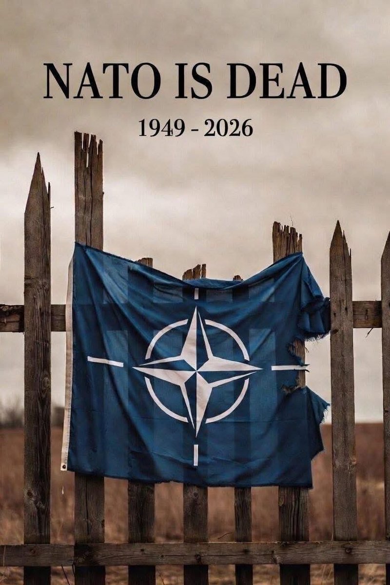 Paul White Gold Eagle tweet media