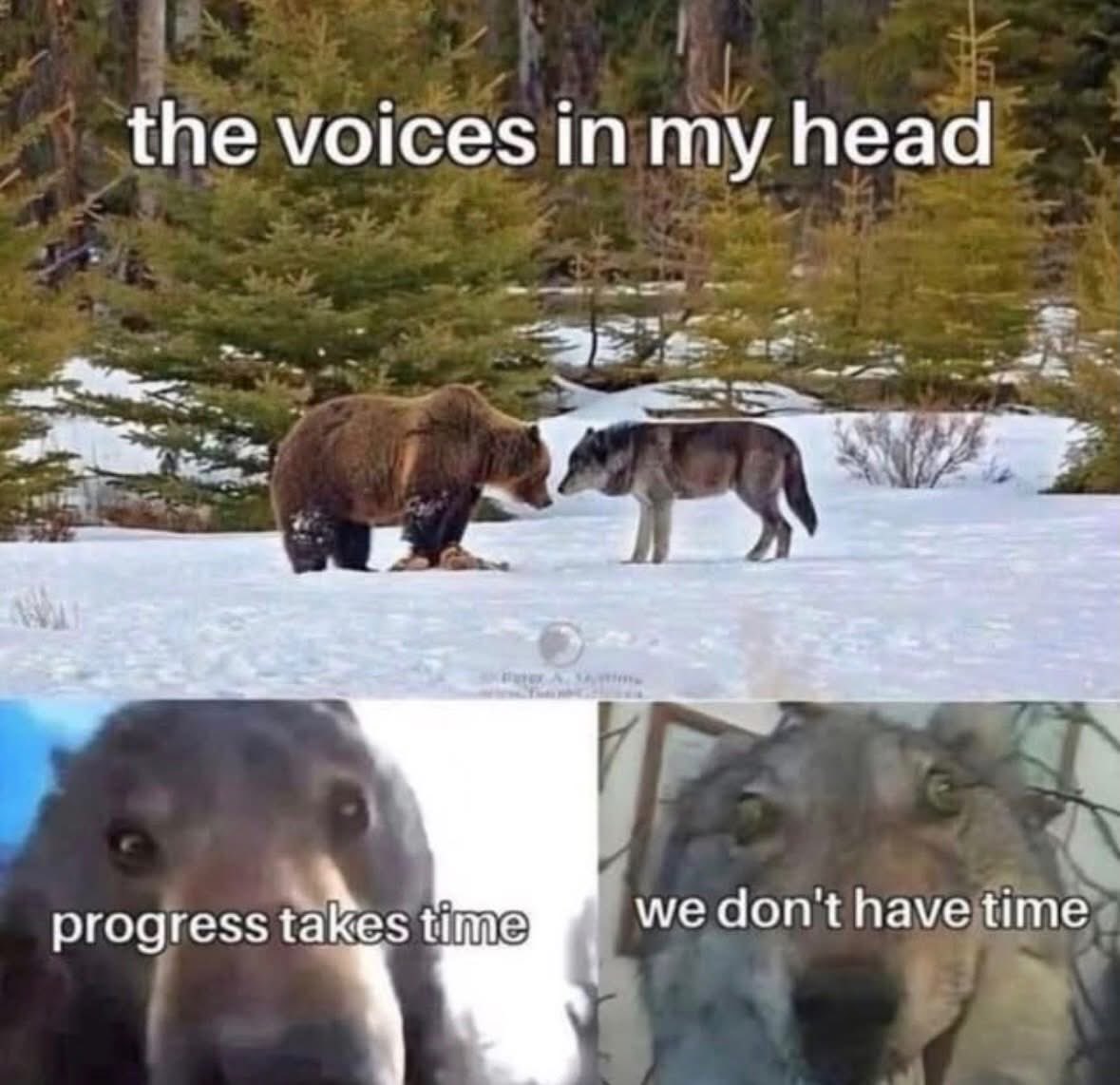 Gialyfantsy tweet media