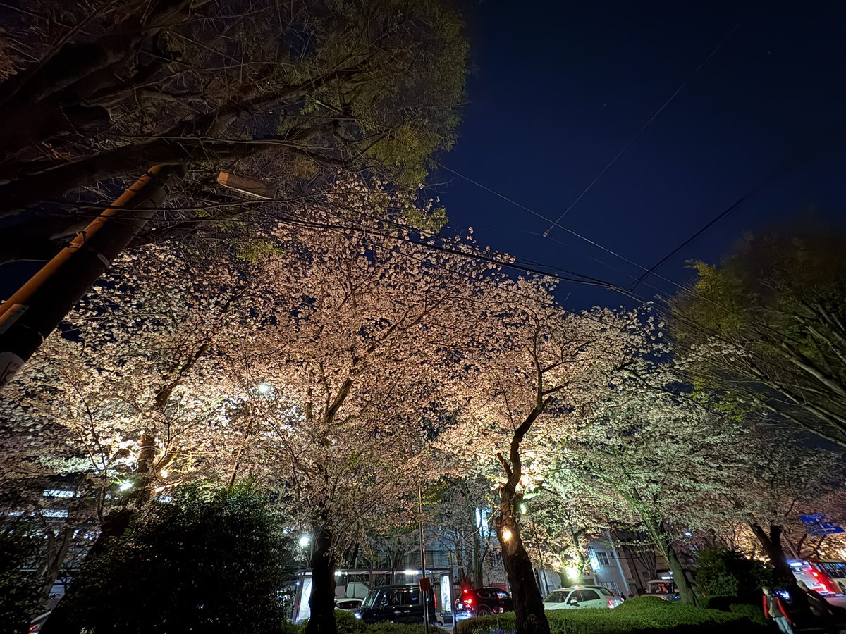 ｵﾋｹﾞﾉﾋﾄ🥸 tweet media