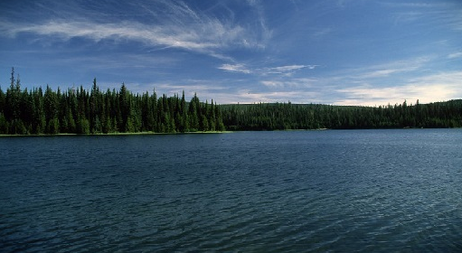 Umatilla NF tweet media
