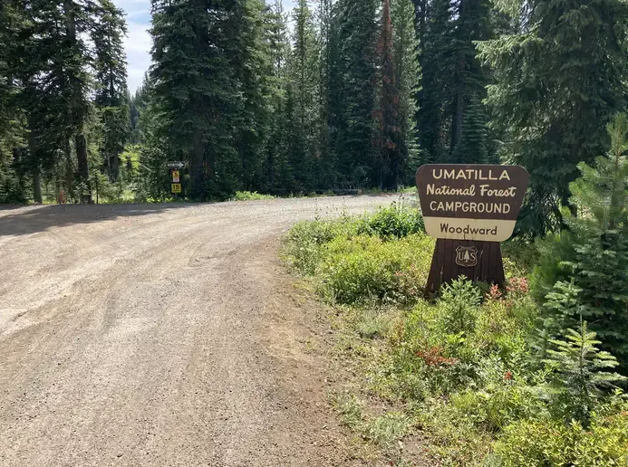 Umatilla NF tweet media