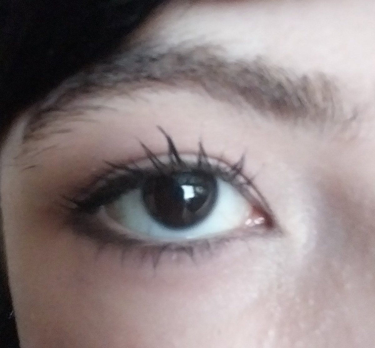 bambi SHEDTWT tweet media