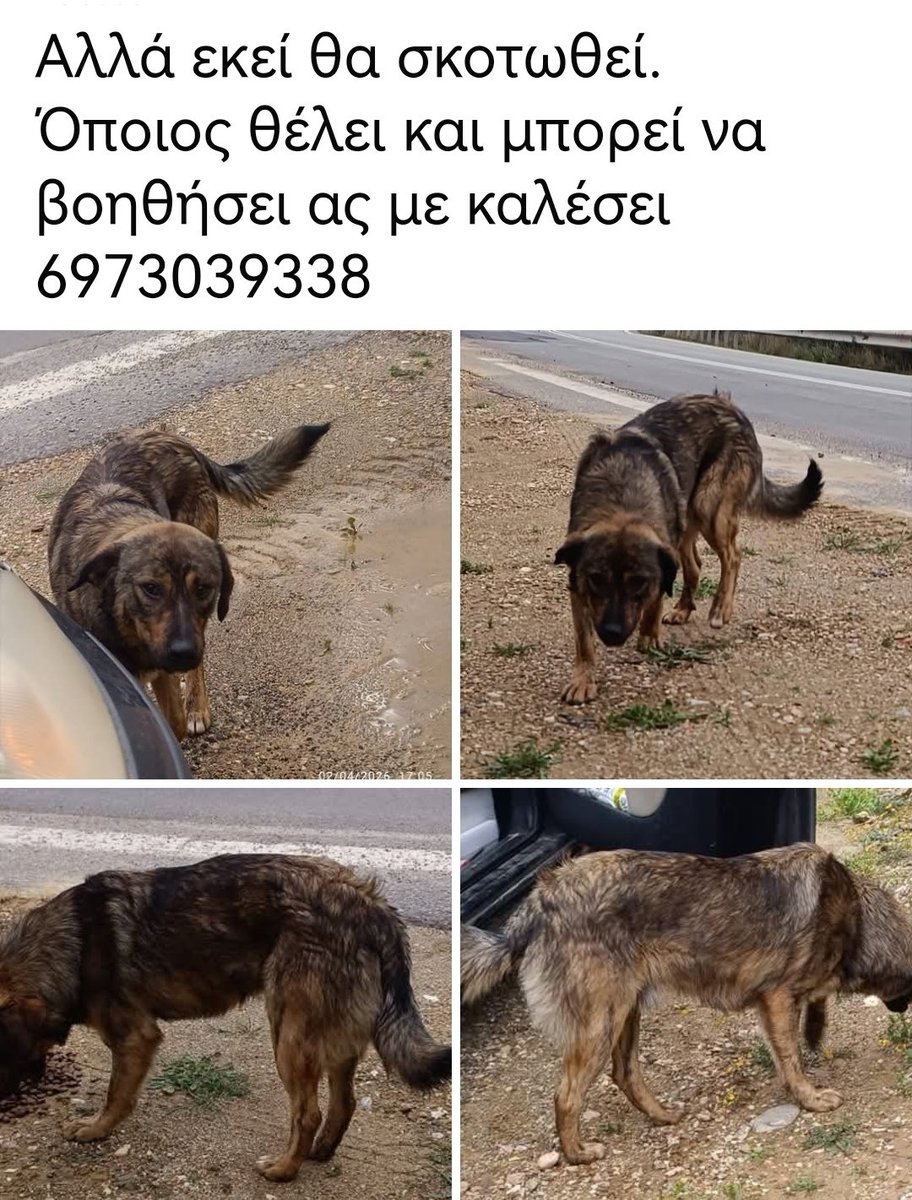 Christinaliroudia tweet media