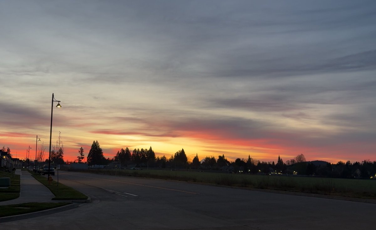 Spring mornings hit differently