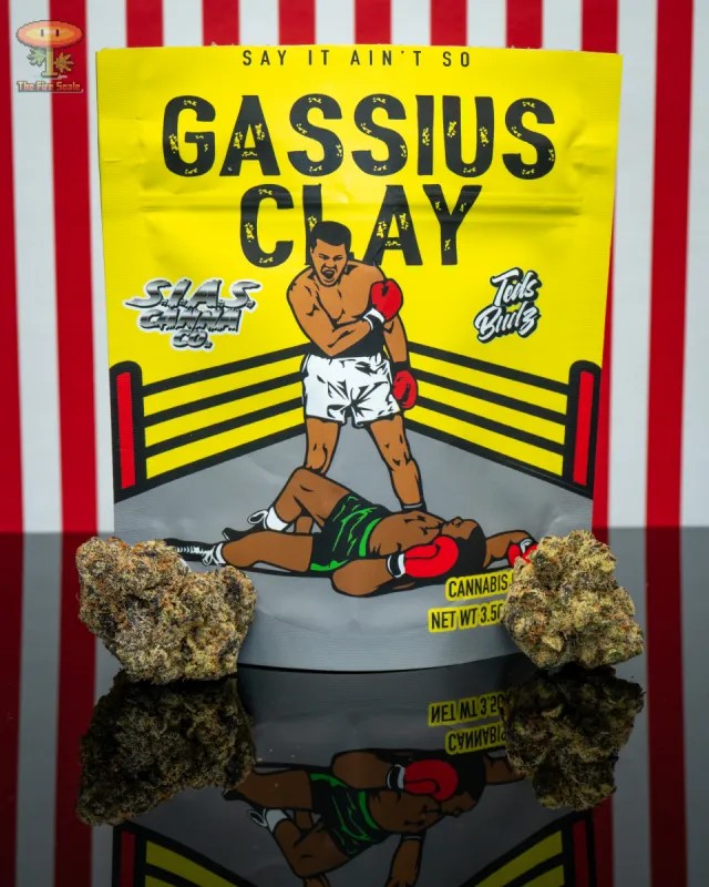 Trevor Jordache Reanimated tweet media