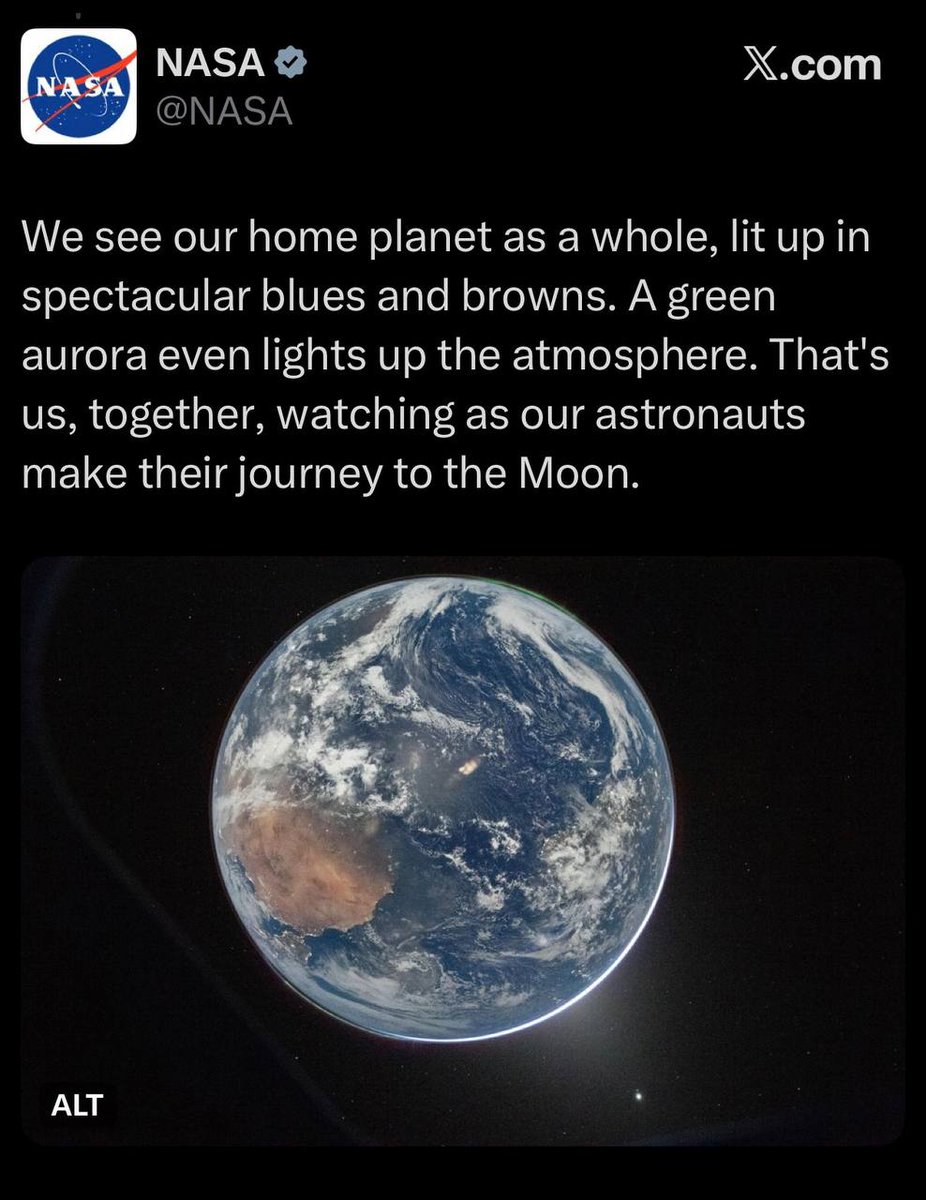 Super Shane tweet media