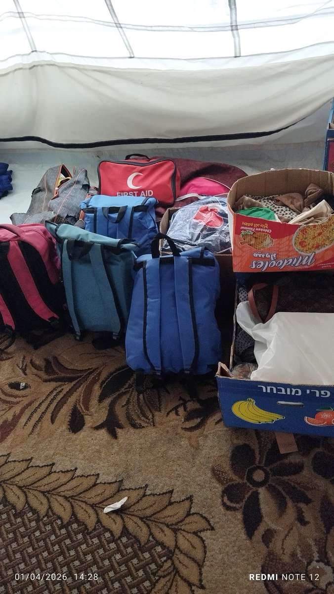 Roaa Alareer tweet media