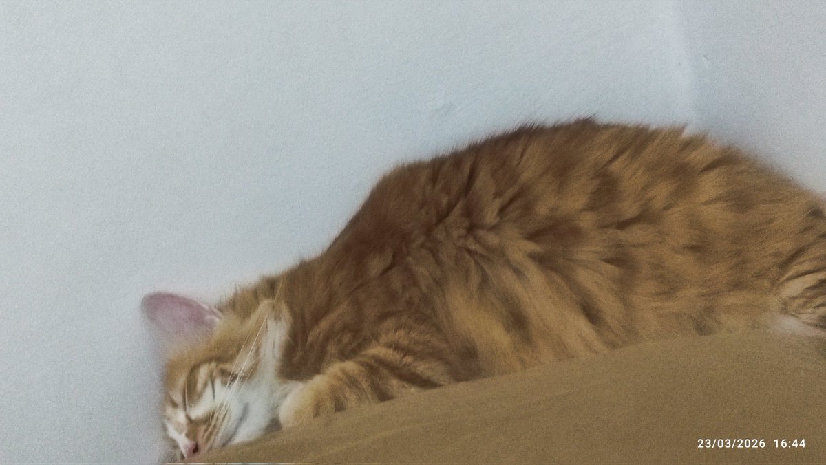 kakaknya Sean & Bond tweet media