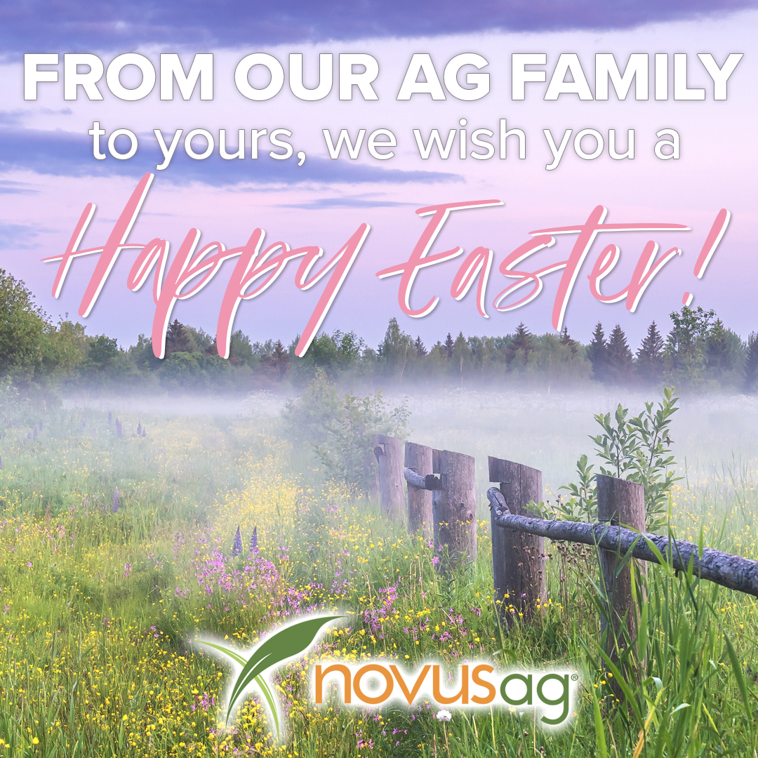 Novus Ag tweet media