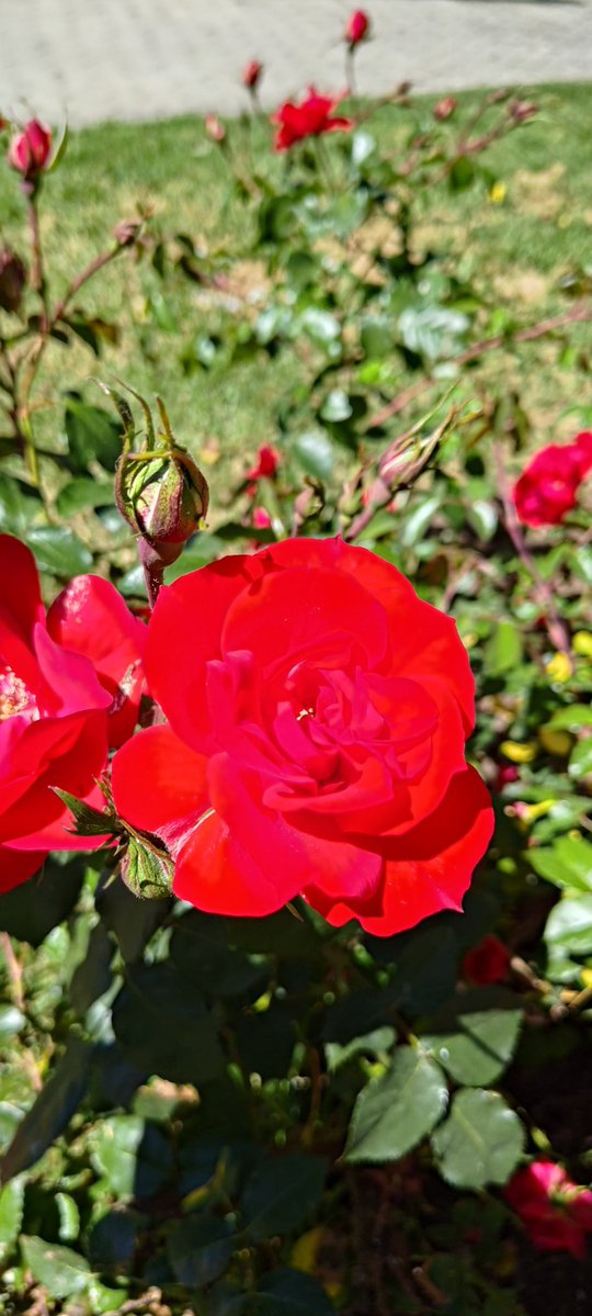 patyy ☁️ tweet media