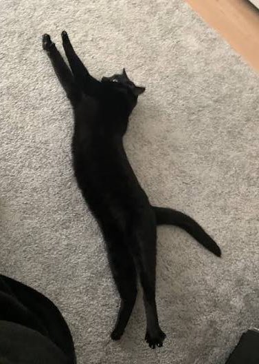 Percy ☆.*(^-^ tweet media