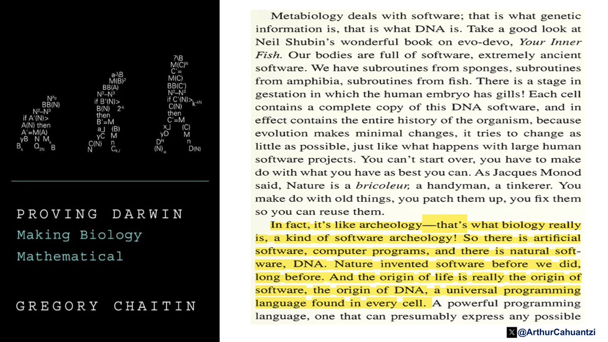 Arthur Cahuantzi tweet media