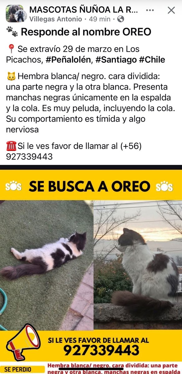 Elizabeth tweet media