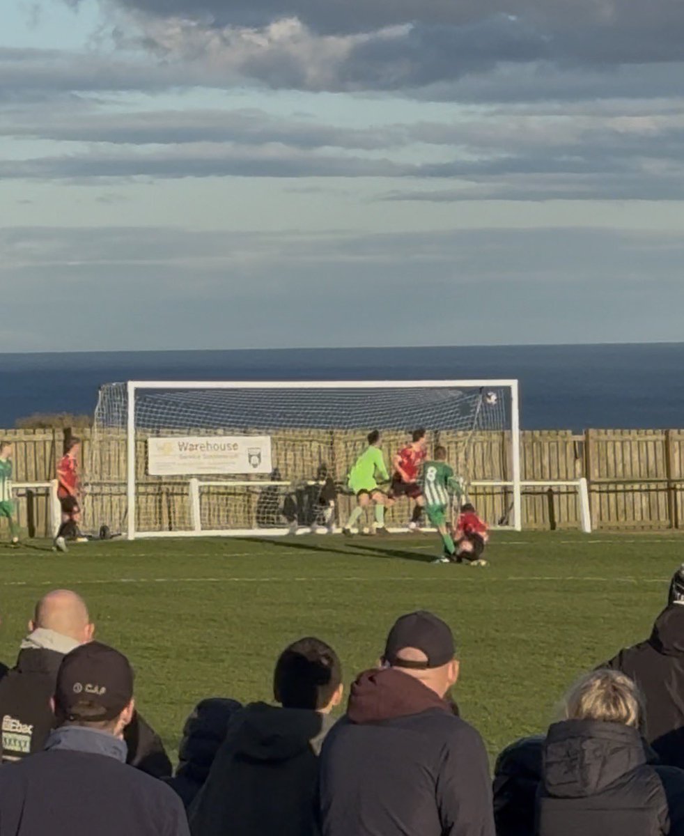 Divdogz04_yt tweet media