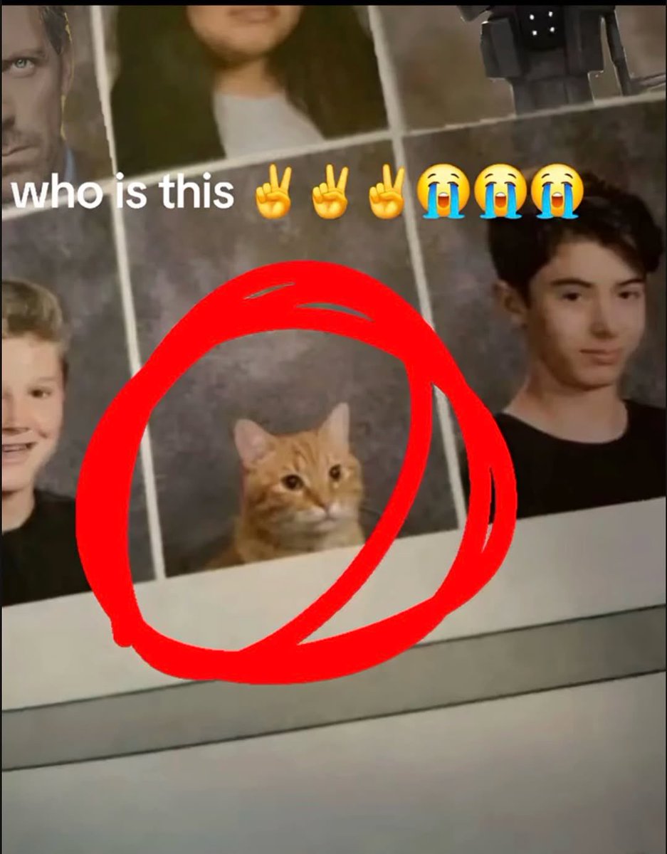 ميمـ tweet media