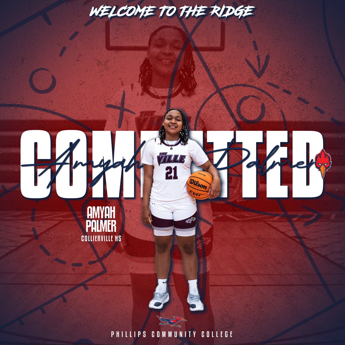 Amyah palmer tweet media