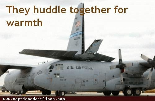 Mackerel tweet media