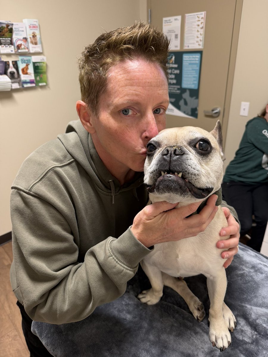 Copper, Frank & Wicklow tweet media