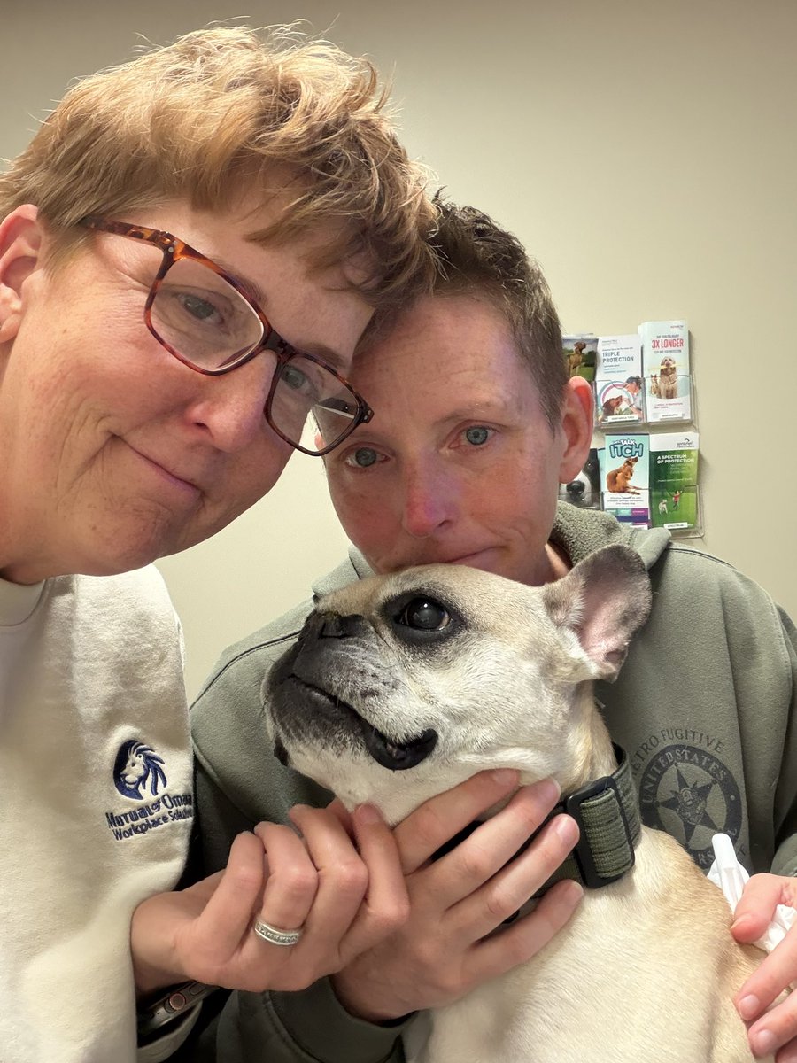 Copper, Frank & Wicklow tweet media