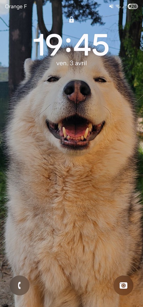 Týr | ᛏᚢ︍ᚱ 🐺🪓 tweet media