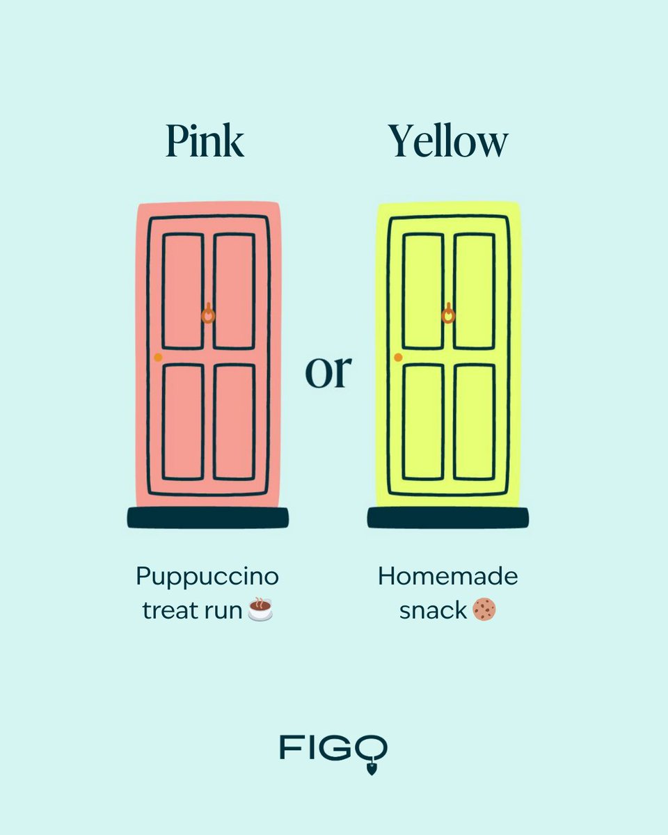 Figo Pet Insurance tweet media