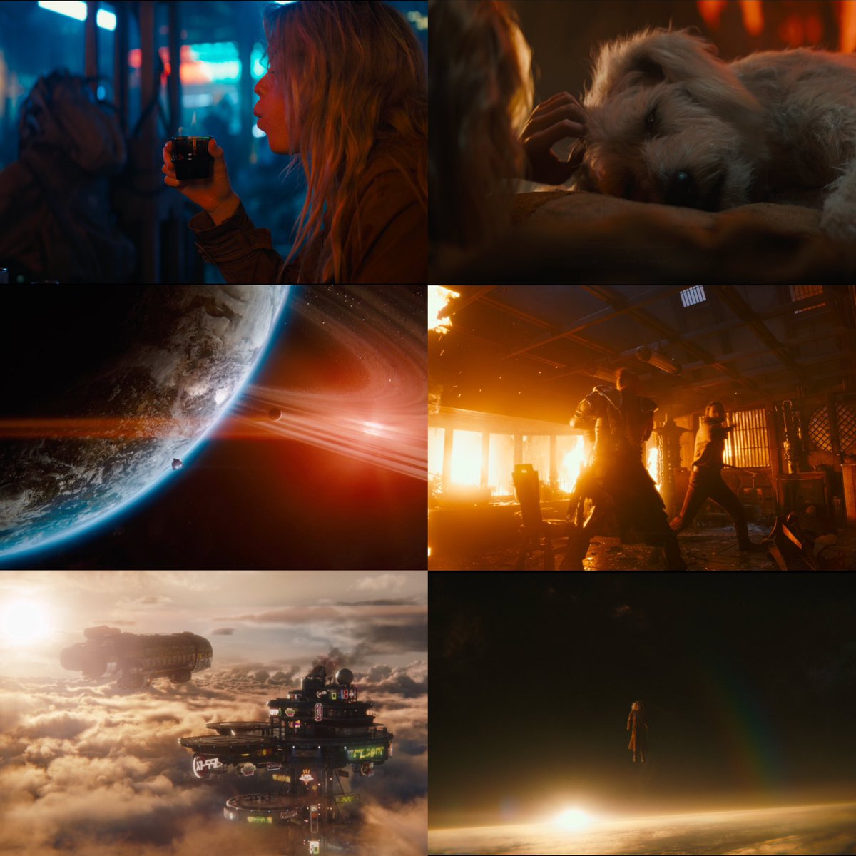 Mandevil tweet media