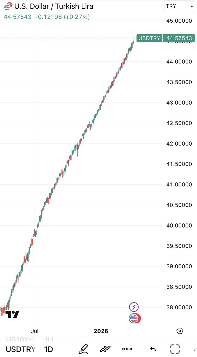 Emin Yurumazu (エミンユルマズ) tweet media