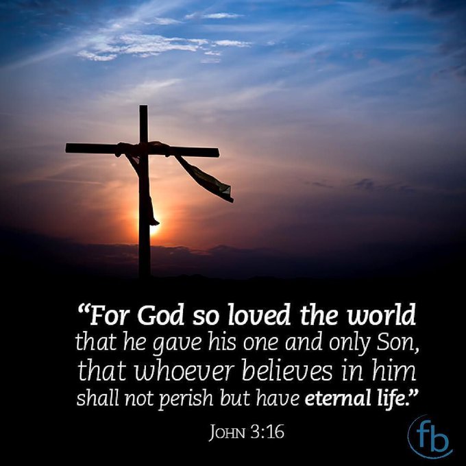 Lisa Asman tweet media